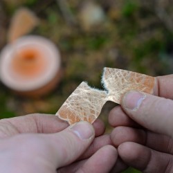 Procamptek - Fire Strip Roll |tear off tinder