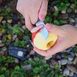 Outdoor Element Slicer Feather being used to peel