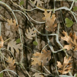 Ribz Front Packs the ultimate Rucksack | Rucksack